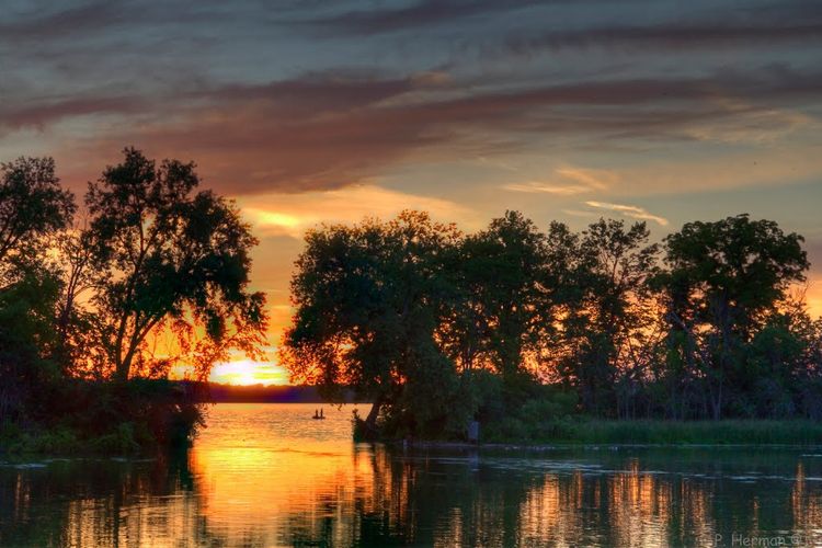 McFarland, WI Homes for Sale & Real Estate