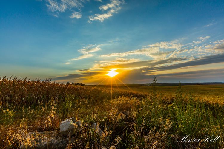 Poynette, WI Homes for Sale and Realtors